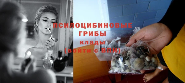 стафф Краснослободск